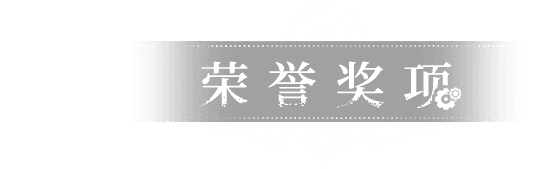 荣誉奖项